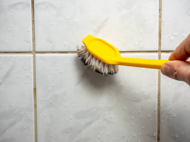 Best Mold Remediation  in Stonybrook, PA