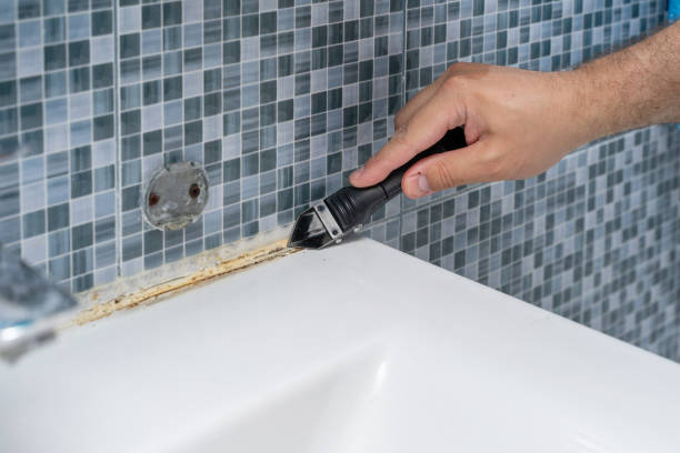 Best Mold Cleaning Services  in Stonybrook, PA